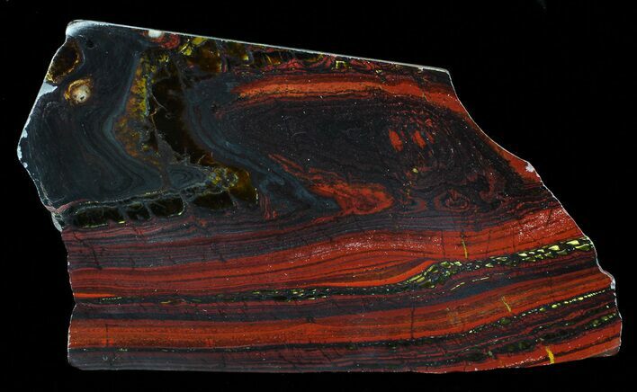 Polished Tiger Iron Stromatolite - ( Billion Years) #65337
